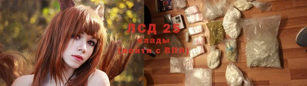 дурь Магас