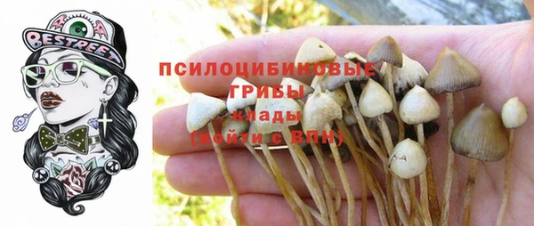 гашишное масло Липки