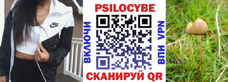 Псилоцибиновые грибы Psilocybine cubensis  Купить закладки  Рошаль 